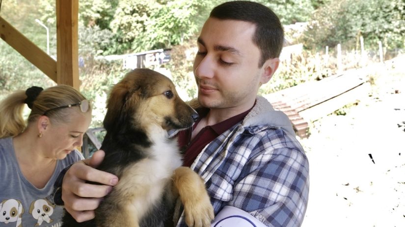 Помощь собачьему приюту от депутата Владислава Теплякова