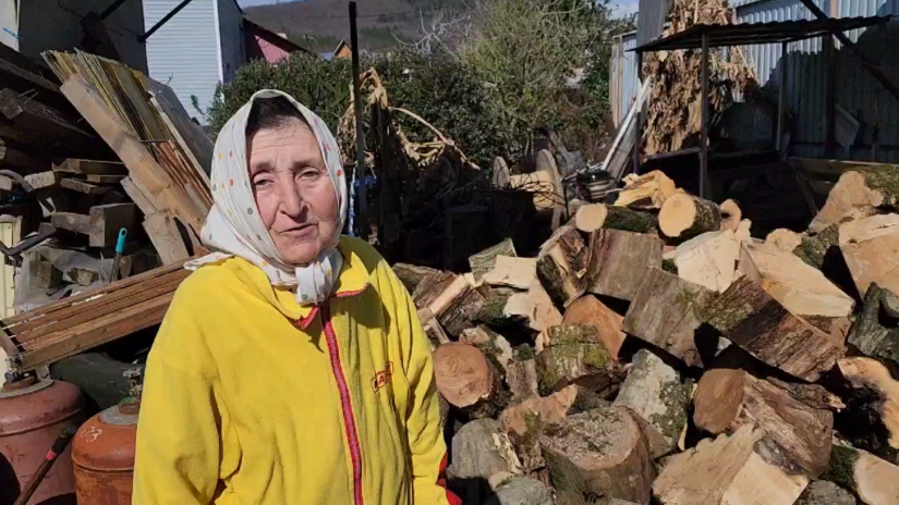 Председатель Городского Собрания Сочи Виктор Филонов помог пенсионерке в закупке дров
