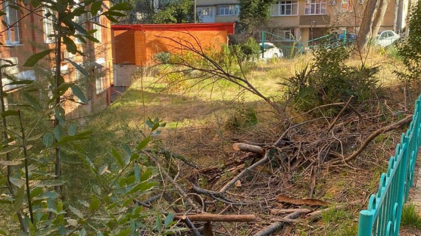 Эдуард Обухович помог в кронировании деревьев жителям Новосочинского округа