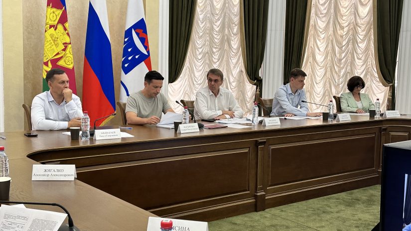 Депутаты провели заседание комитета по вопросам имущественных и земельных отношений.